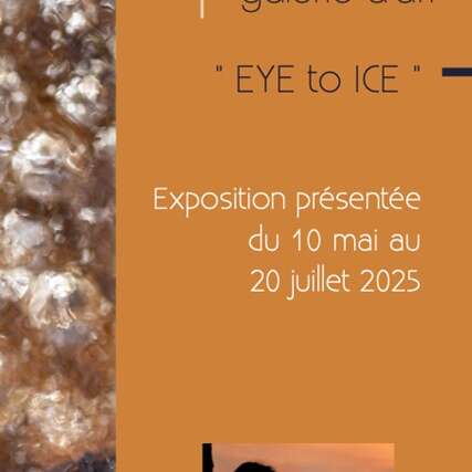 HORS SERIE - Exposition - vente "EYE TO ICE" par Nathalie Houdin