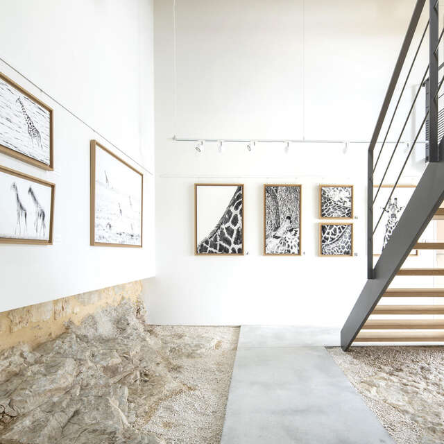 Hors-série Galerie d'art