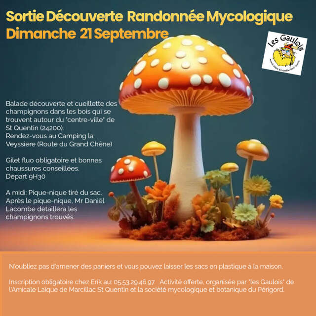 Sortie déouverte randonnée mycologique