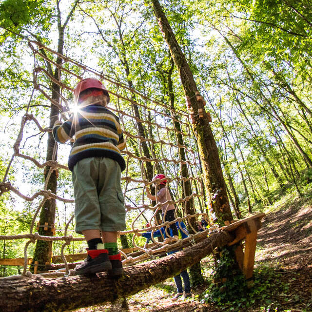 Le Bois des Elfes