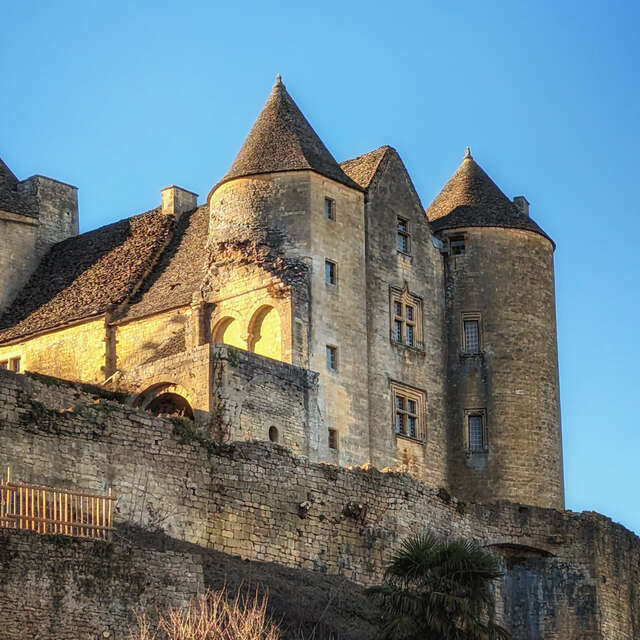 Château de Salignac