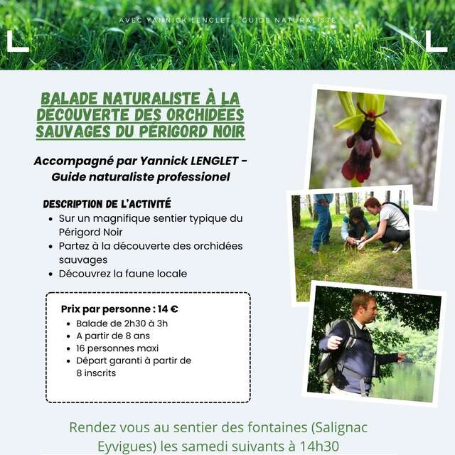Balade naturaliste à la découverte des orchidées sauvages du périgord noir