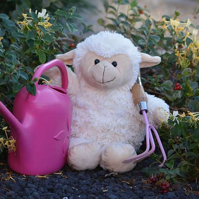 Atelier de Poésie pour enfants