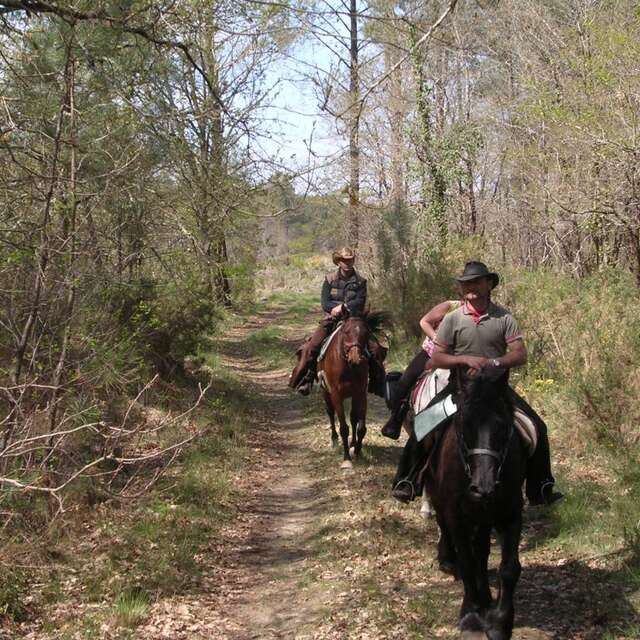 Association Équiloisirs