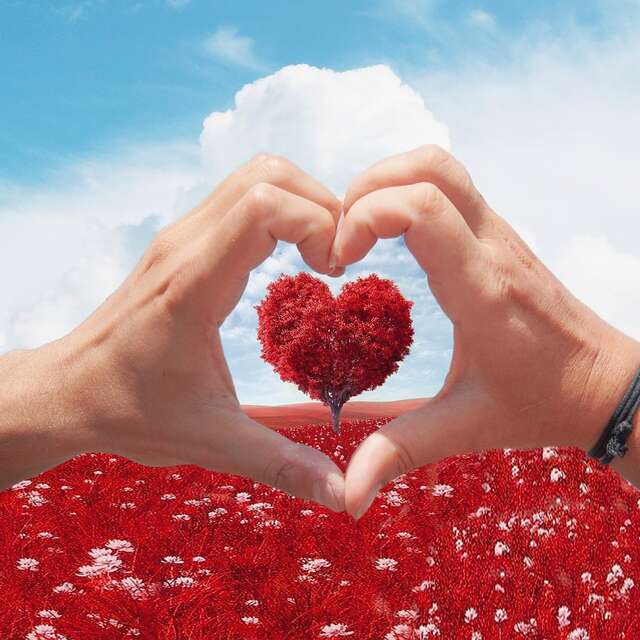 La Saint-Valentin au restaurant du Château à Campagne