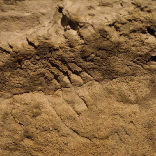Caverne de Bara Bahau - Le Sanctuaire de l'Ours
