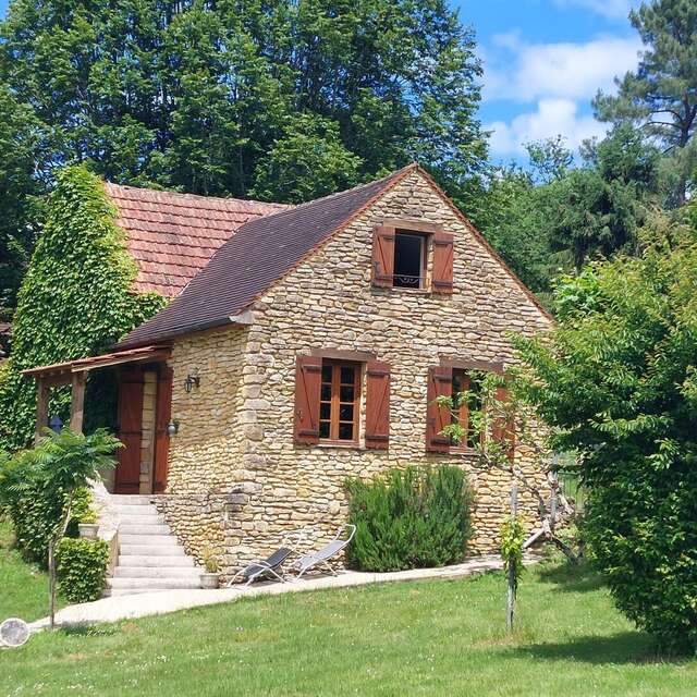 Les Platanes à Sarlat