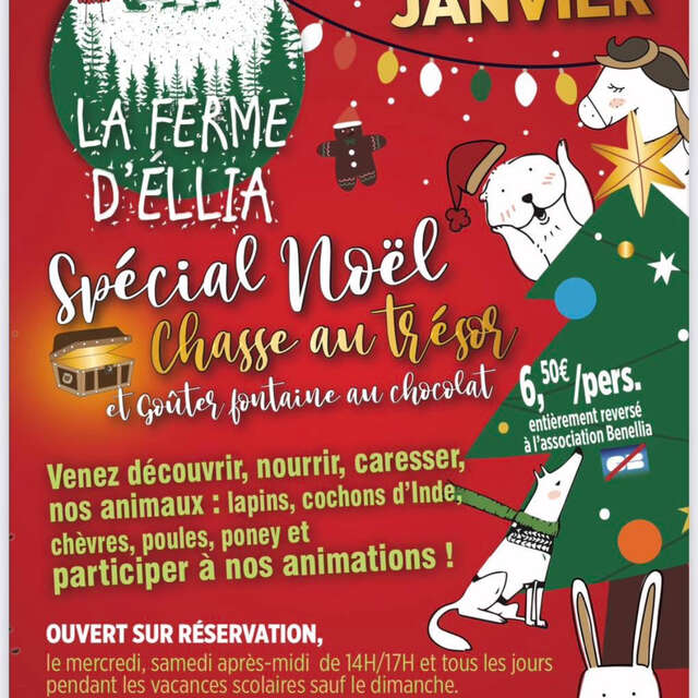 Animations de Noel à la Ferme d'Ellia