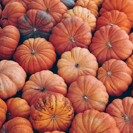 Bal d'halloween / Concours de Citrouille
