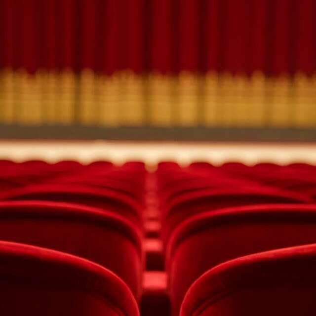 Théâtre - Le cochon d'Inde