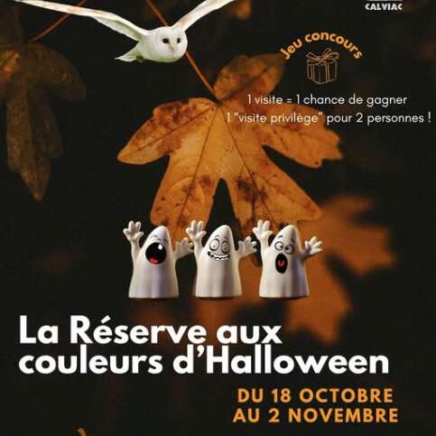 Halloween à la réserve zoologique de Calviac
