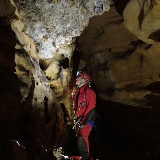 Sorties Spéléologie Découverte