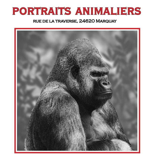 Exposition Georges Bonnet  : Portraits Animaliers