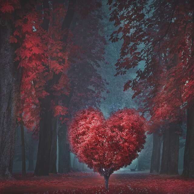 Soirée Saint-Valentin au Quai Vézère