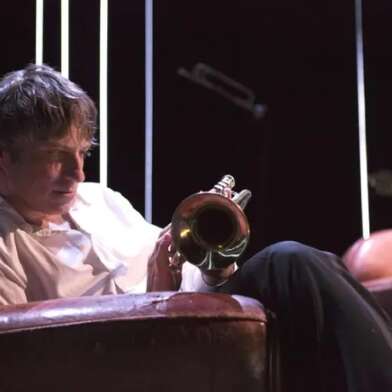 Spectacle Humour – Elle...émoi par Emmanuel Van Cappel