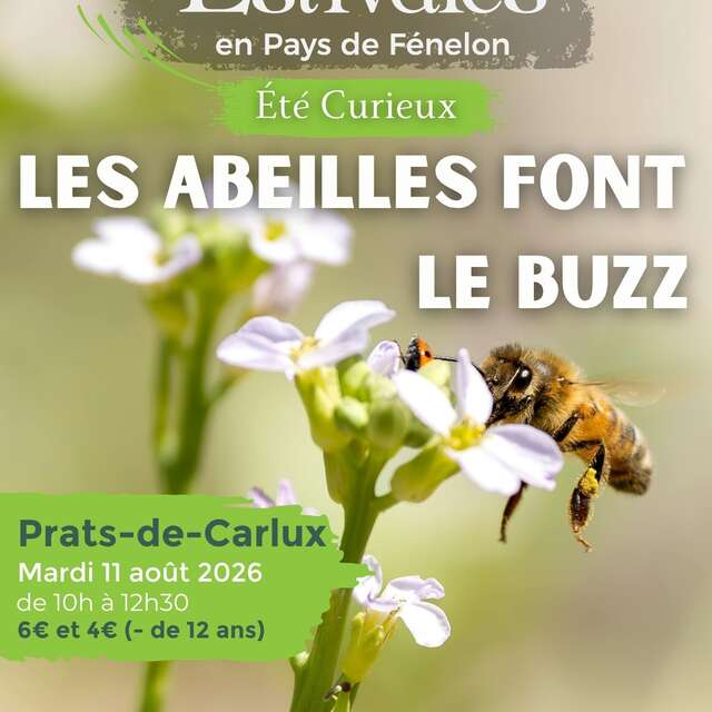 ETE CURIEUX : Les abeilles font le buzz à Prats-de-Carlux