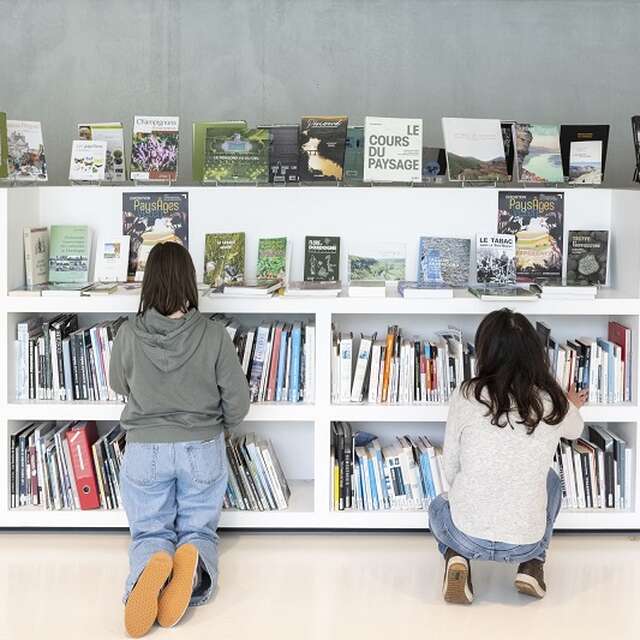 Rencontre dédicace : des livres à croquer