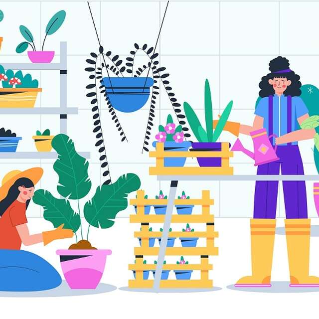 Terre en vert : Troc de plantes