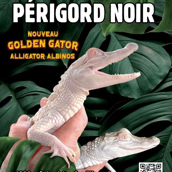 Aquarium du Périgord Noir - Univerland Le Bugue