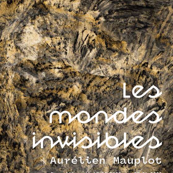 Exposition - Les mondes invisibles de Aurélien Mauplot
