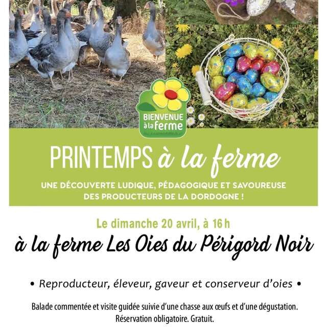 Printemps à la Ferme, à la Ferme des Oies du Périgord Noir