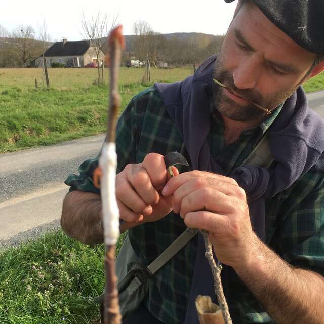Journée d’initiation et spectacle poétique autour du greffage