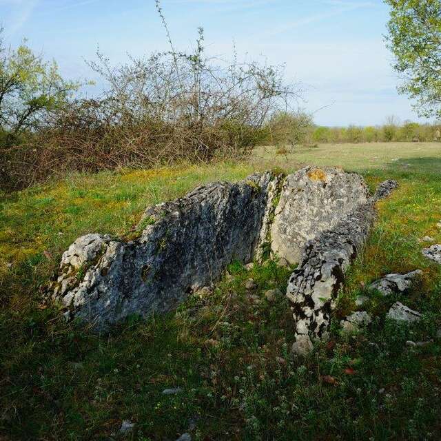 Les Dolmens de Miers