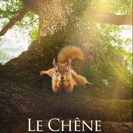 Semaine du développement durable : projection du film 