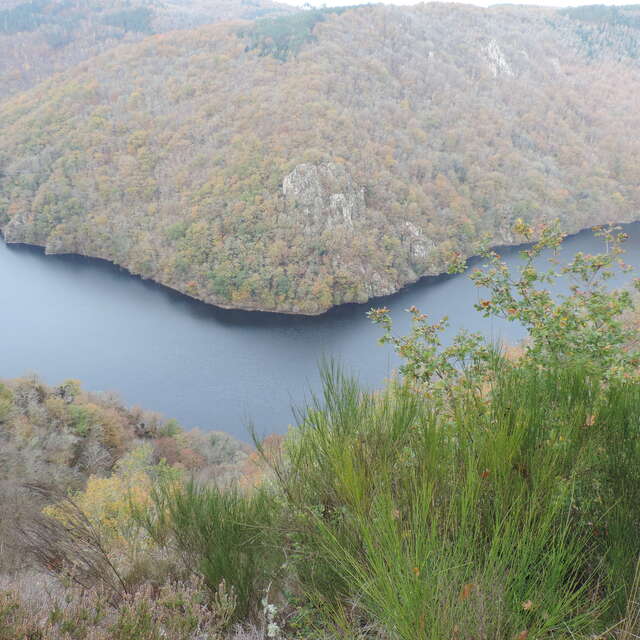 Petit Tour des Gorges de la Dordogne