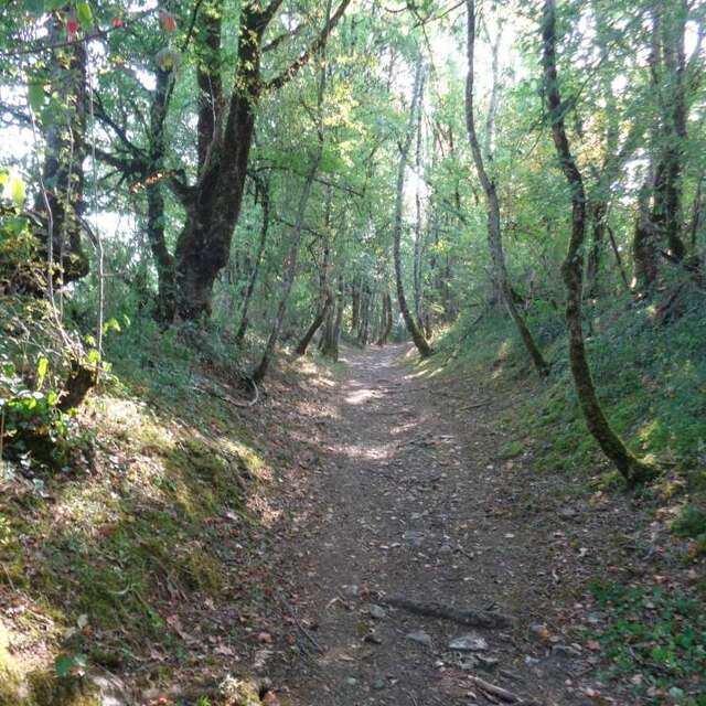 GRP Midi Corrézien - boucle Noailhac - VTT