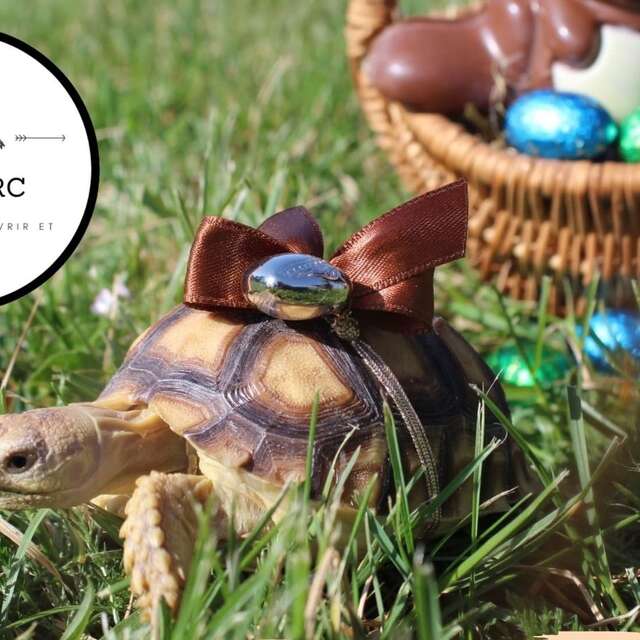 Pâques à Padiparc