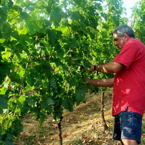 Domaine du Bas-Queyssac