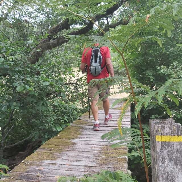 Marche , vtt et route Trans Souillagaise.