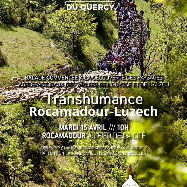 Transhumance Rocamadour-Luzech