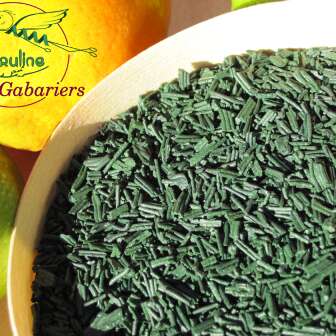 Spiruline des gabariers