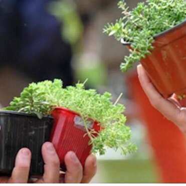 Le printemps arrive !