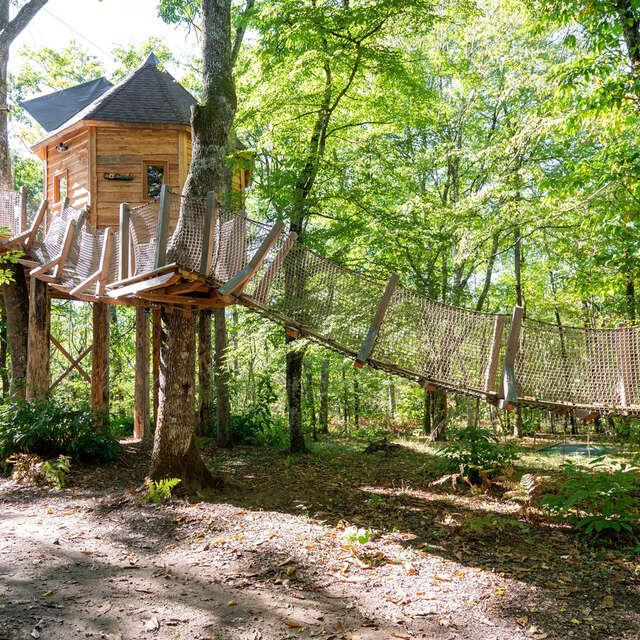 Nid'en'Ô Les Cabanes dans les Arbres