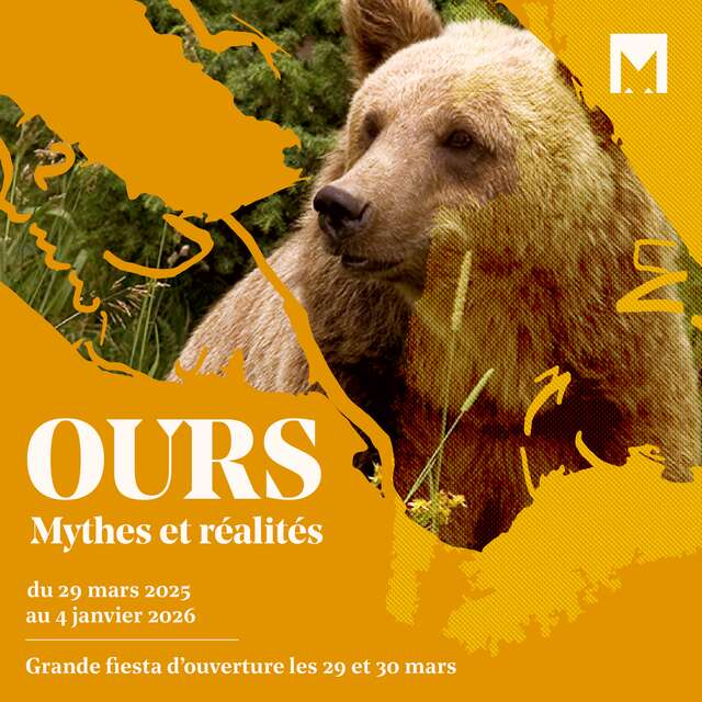 VISITE COMMENTÉE DE L'EXPOSITION TEMPORAIRE : OURS,MYTHES ET RÉALITÉS