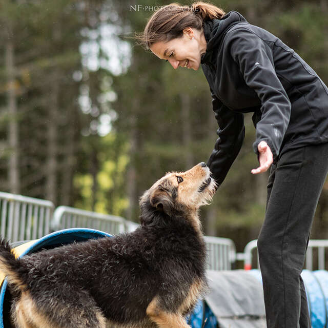 CANIFUN, LE WEEK-END DU CHIEN - 4ÈME ÉDITION