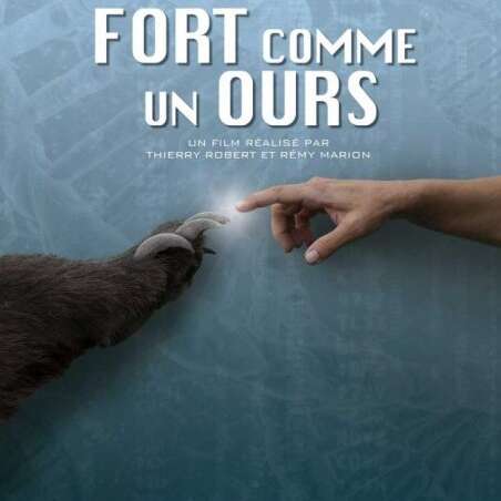 PROJECTION AU MUSÉE