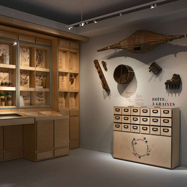 VISITE GUIDÉE DES EXPOSITIONS PERMANENTES DU MUSÉE