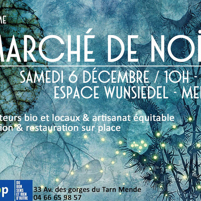 9ÈME MARCHÉ DE NOËL BIO