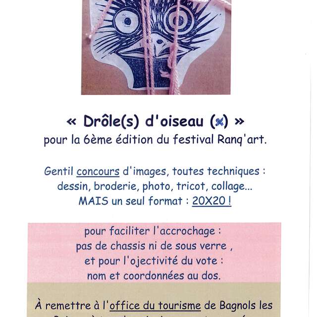 CONCOURS D'IMAGES " DRÔLE(S) D'OISEAU(X)