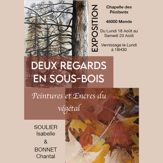 DEUX REGARDS EN SOUS-BOIS ...
