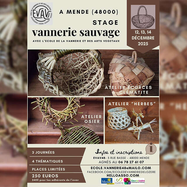 STAGE DE VANNERIE : VANNERIE SAUVAGE