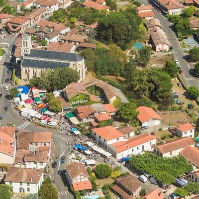 Vide grenier - vide jardin