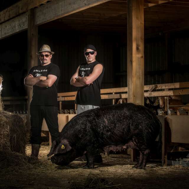 Ferme du Payssas - Olivier MAURIN