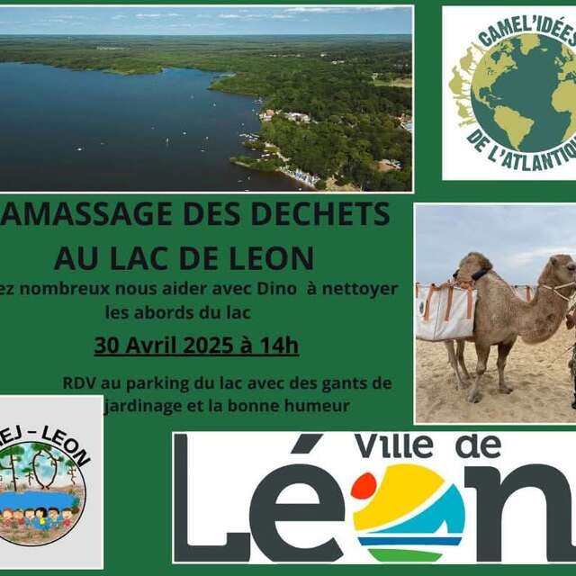 Ramassage de déchets