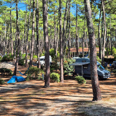 Camping Municipal du Cap de l'Homy