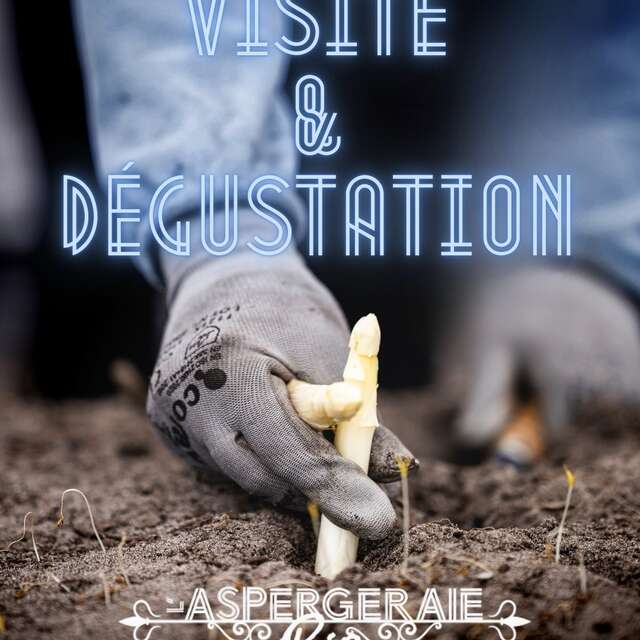 Visite et dégustation d'asperges